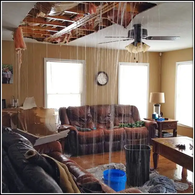 Water Damage Restoration services in Valdosta, GA