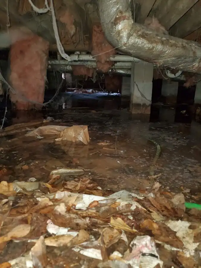 Crawl space flood assessment for Commercial Water Damage Restoration in Valdosta