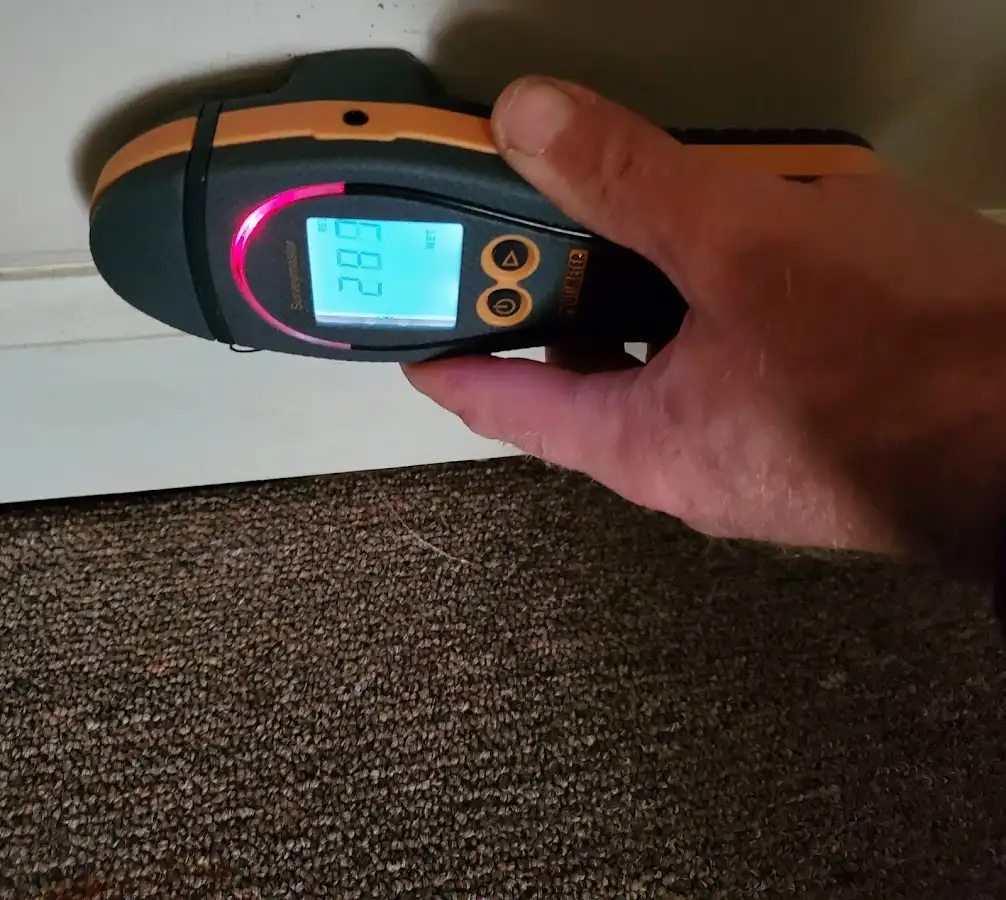 Moisture detection at baseboard during Mold Inspection & Testing in Valdosta